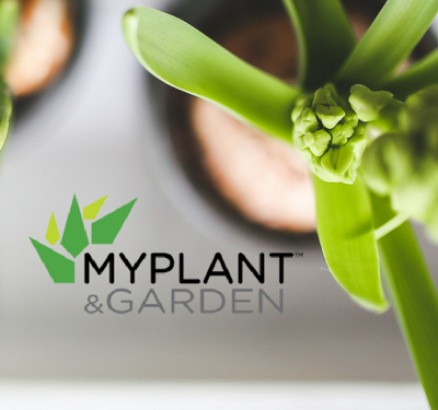 Myplant & Garden: la fotografia del florovivaismo italiano